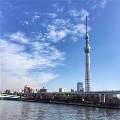 战争艺术完整破解版下载